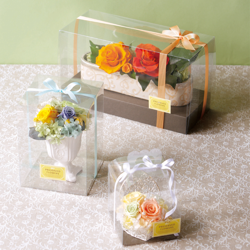 ボックスのみ 新品 未開封 夏の夜の夢 フラワーノーズ 第8代  